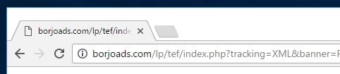 Borjoads.com virus