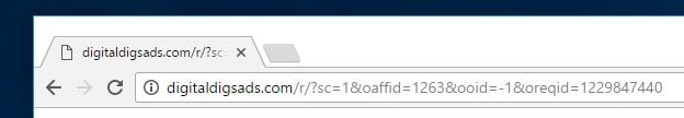 Digitaldigsads.com virus