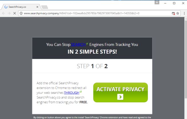 searchprivacy.company virus