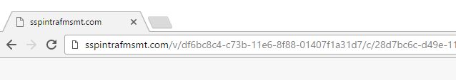 sspintrafmsmt.com virus