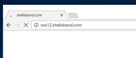 ww12.shellsband.com virus