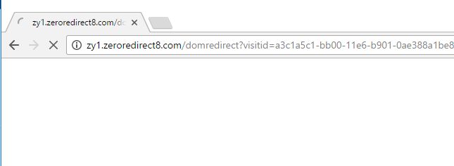 Zy1.zeroredirect8.com virus