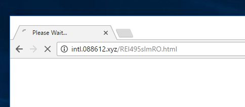 intl.088612.xyz virus