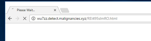 Wu7zz.detect.malignancies.xyz virus