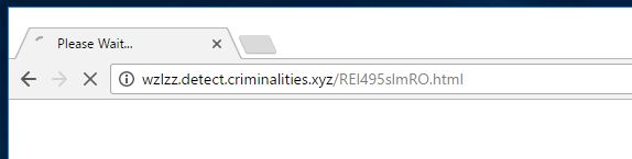 wzlzz.detect.criminalities.xyz virus