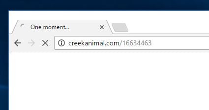 creekanimal.com virus