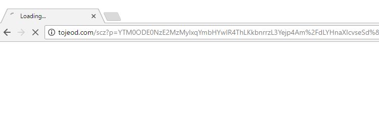 tojeod.com virus