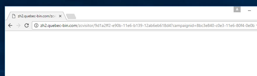 zh2.quebec-bin.com virus