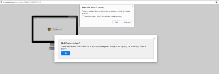 chinesesign.pro virus