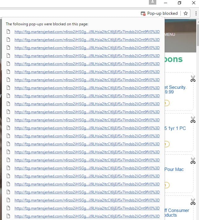fzg.martensjerked.com virus