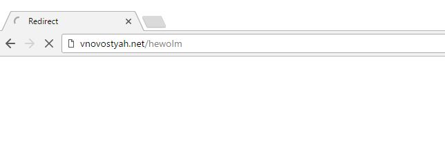 vnovostyah.net/hewolm virus