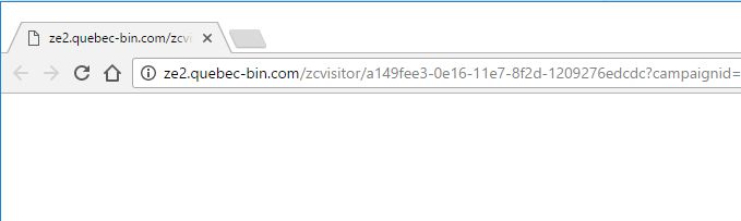 ze2.quebec-bin.com virus