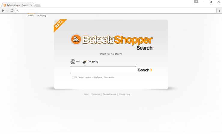 beleelashoppersearch.com virus