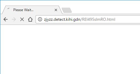 zjyzz.detect.kihi.gdn virus