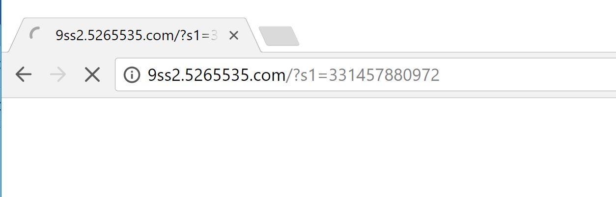 9ss2.5265535.com virus