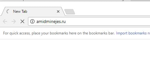 amidminejes.ru virus