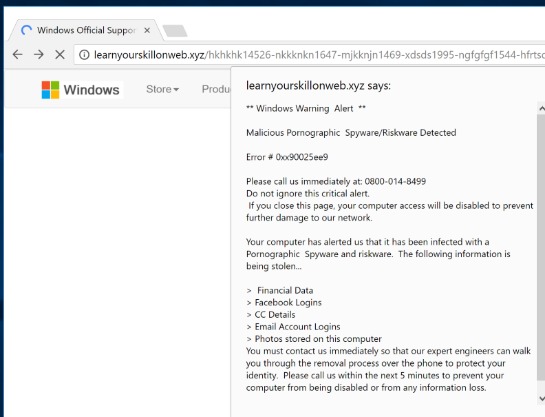 learnyourskillonweb.xyz virus