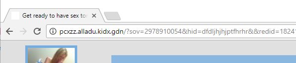 pcxzz.alladu.kidx.gdn virus