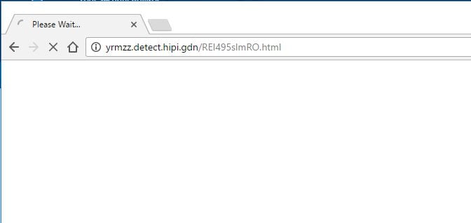 yrmzz.detect.hipi.gdn virus
