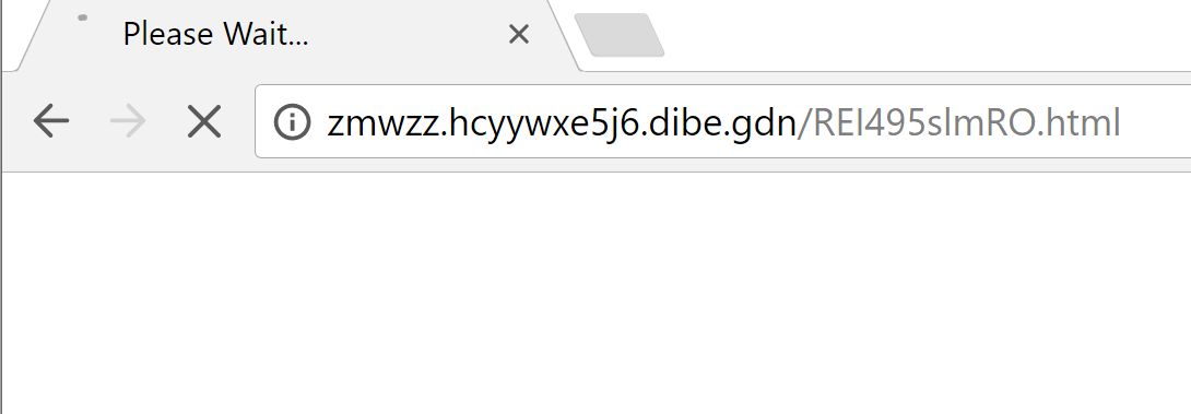 zmwzz.hcyywxe5j6.dibe.gdn redirect virus