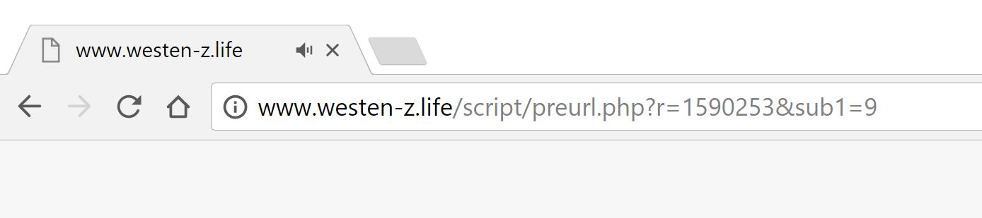 Westen-z.life redirect virus