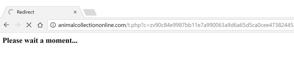 Animalcollectiononline.com redirect virus
