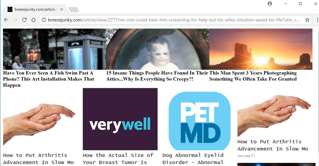 breezejunky.com virus