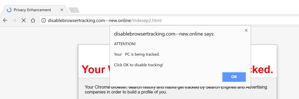 Disablebrowsertracking.com--new.online fake alert virus