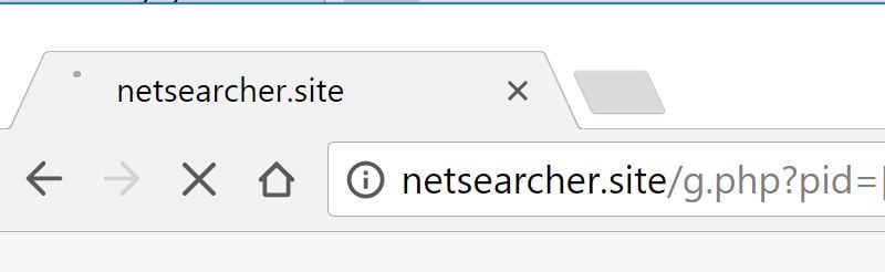 netsearcher.site/g.php?pid= redirect virus