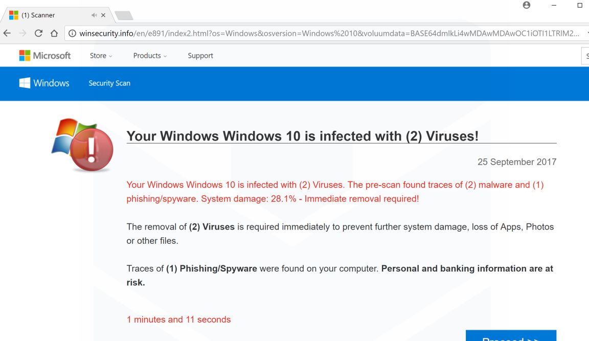 winsecurity.info scam virus