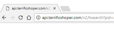 api.terrificshoper.com/v2/hsearch?pid= перенаправить вирус