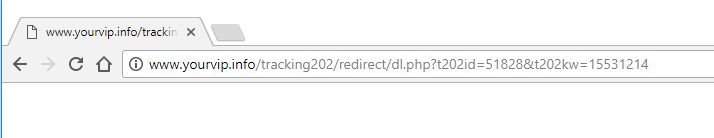 www.yourvip.info redirect virus