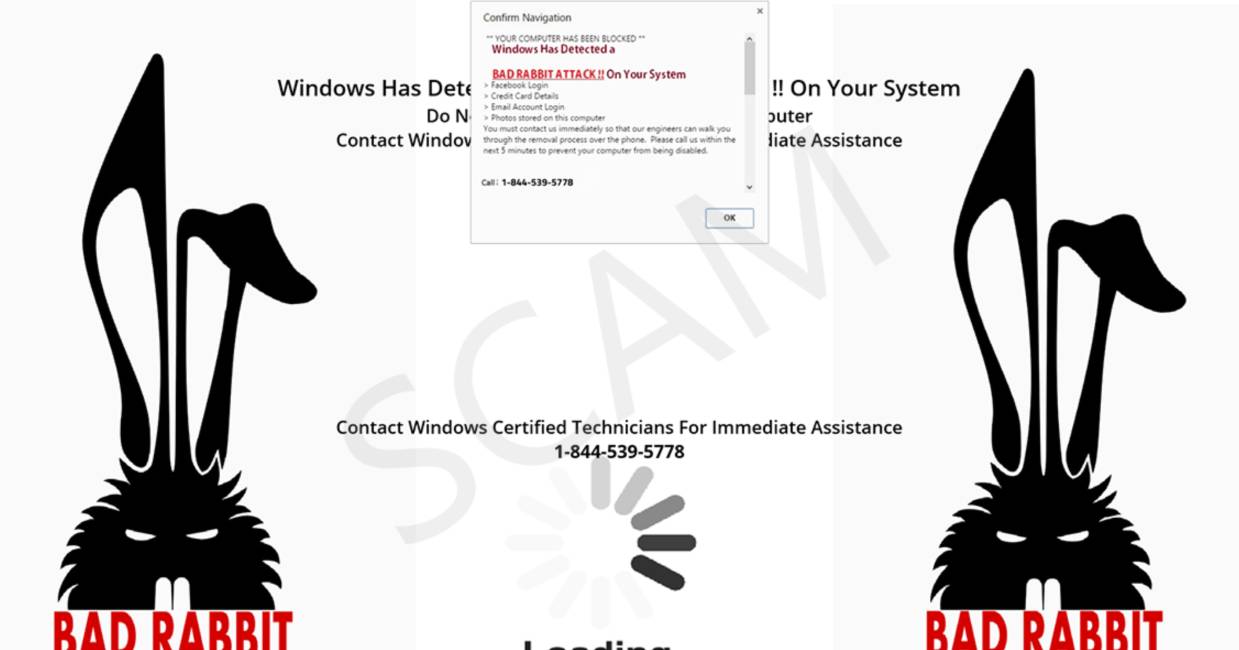 Bad Rabbit Attack pop-up scam virus