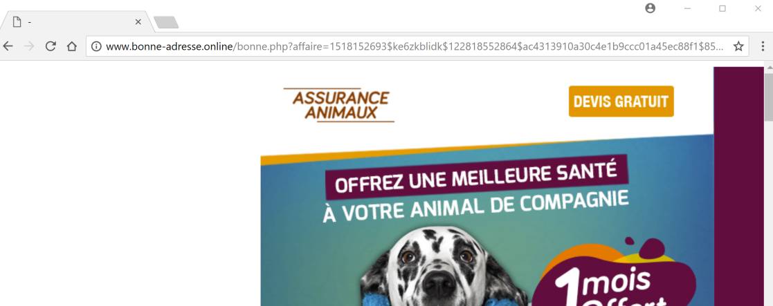 bonne-adresse.online redirect virus