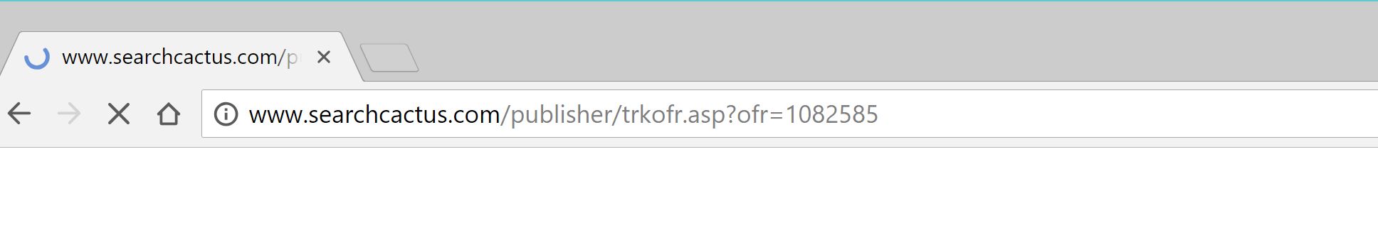 searchcactus.com redirect virus