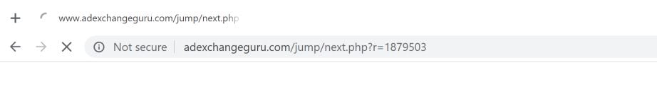 Adexchangeguru.com redirect virus