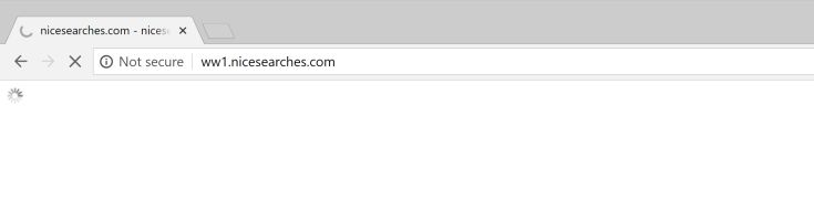 Ww1.nicesearches.com redirect virus