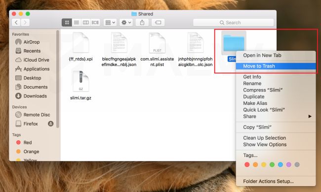 Go to Users Shared folder and delete malicious files macOS