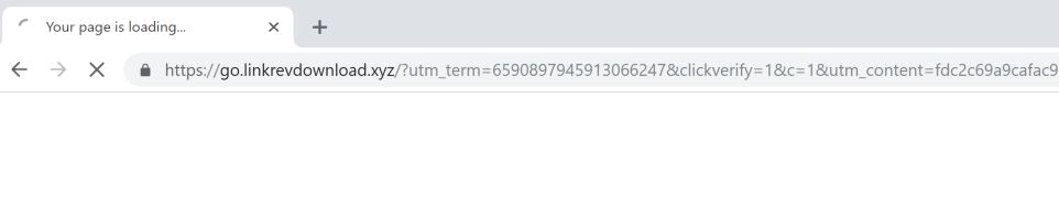 go.linkrevdownload.xyz redirect virus