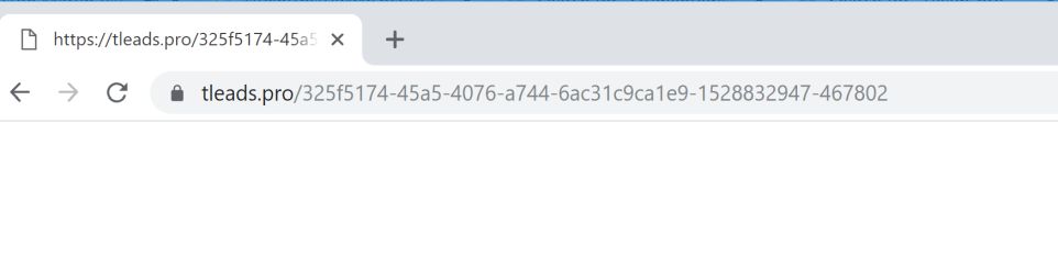 Tleads.pro redirect virus