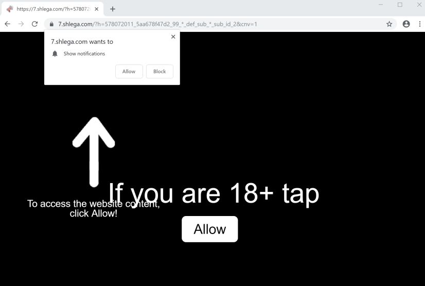 shlega.com redirect virus