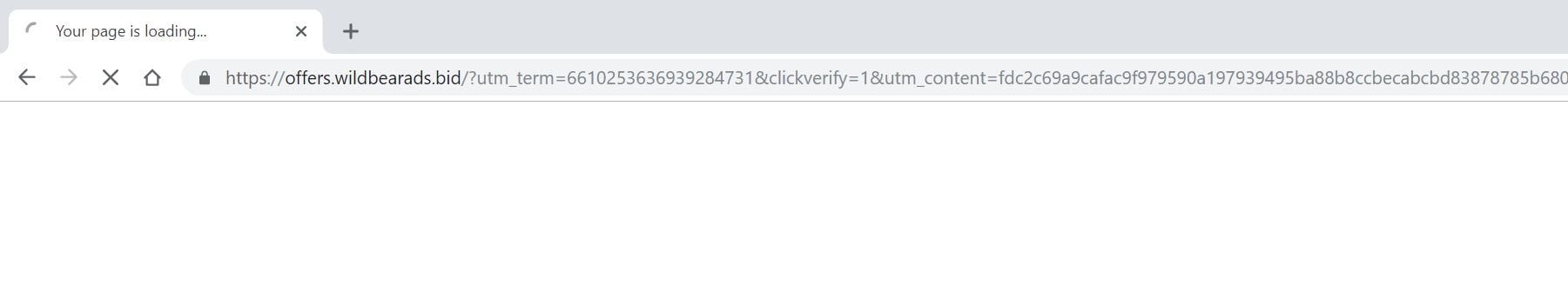 offers.wildbearads.bid redirect virus