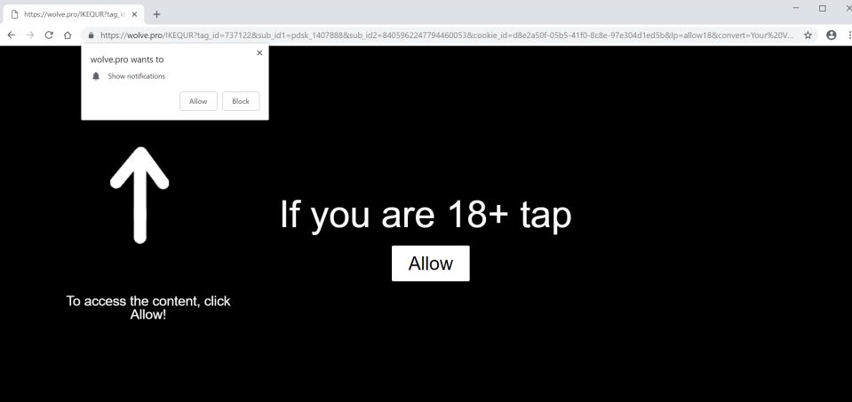 Image: Chrome browser is redirected to the Ms.pushit.work site