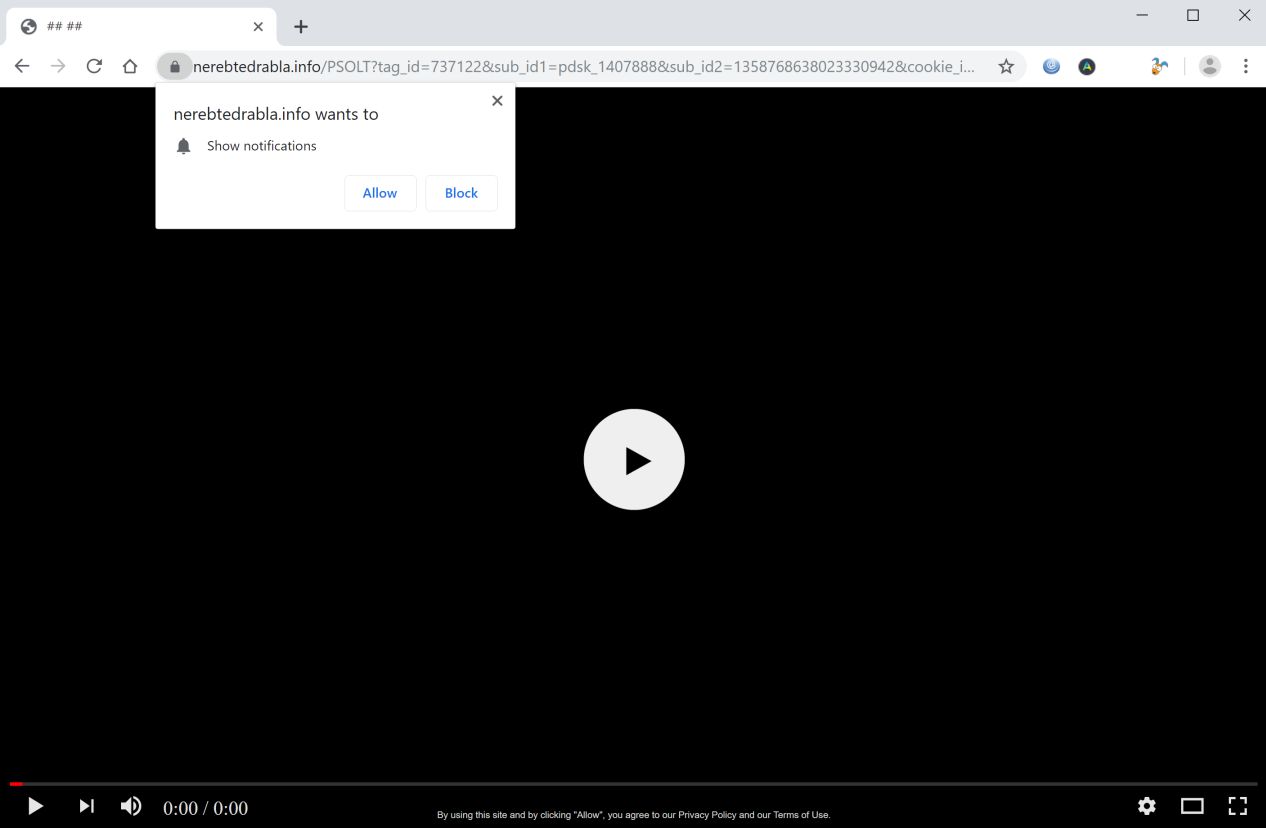 Image: Chrome browser is redirected to Nerebtedrabla.info