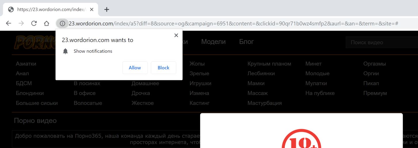 Image: Google Chrome is redirected to wordorion.com