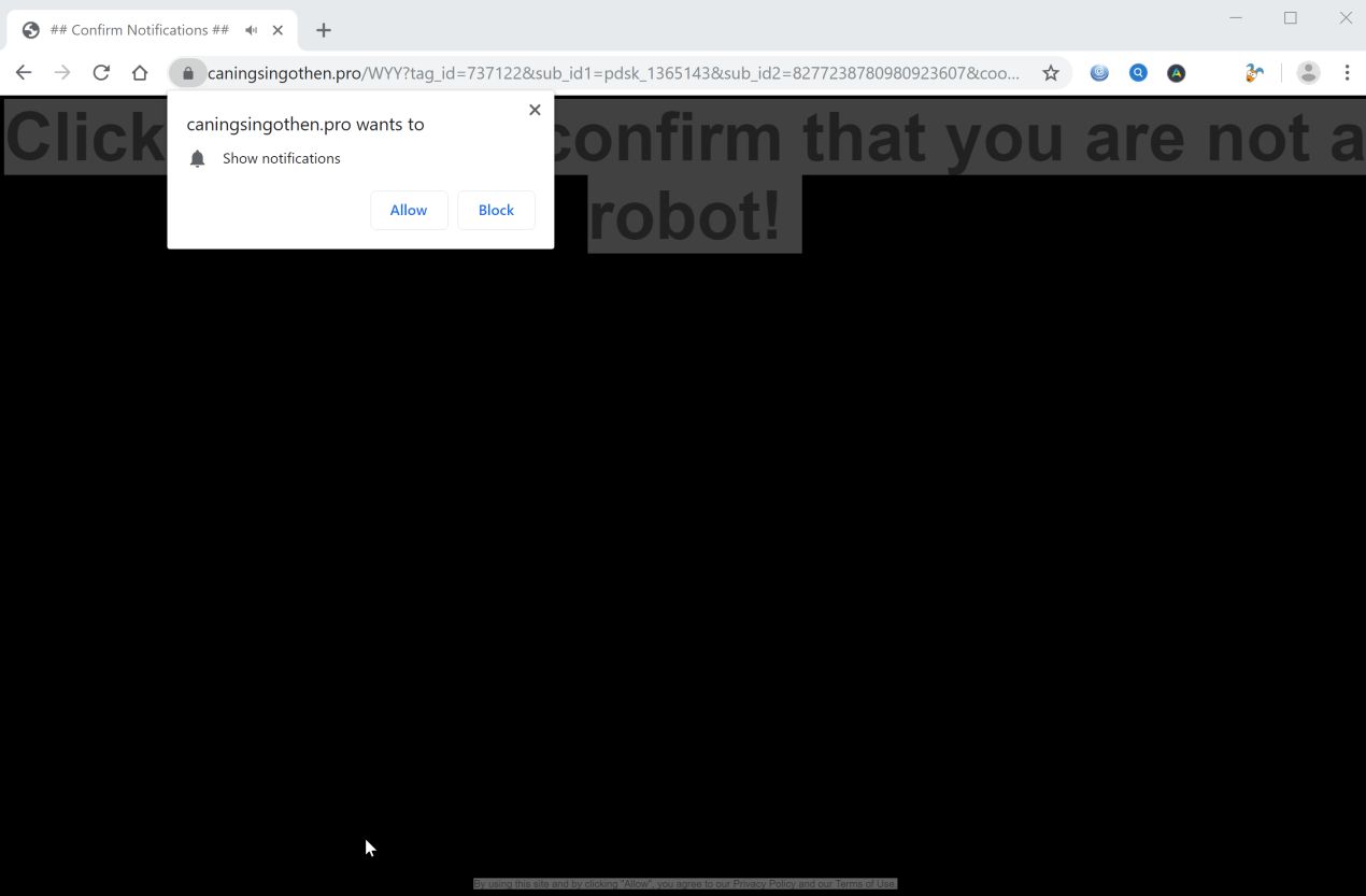 Image: Chrome browser is redirected to Caningsingothen.pro
