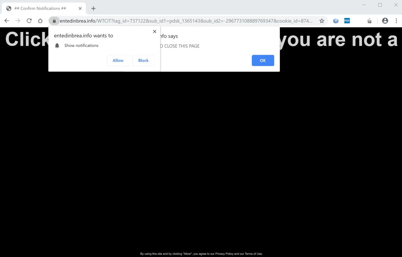 Image: Chrome browser is redirected to Entedinbrea.info