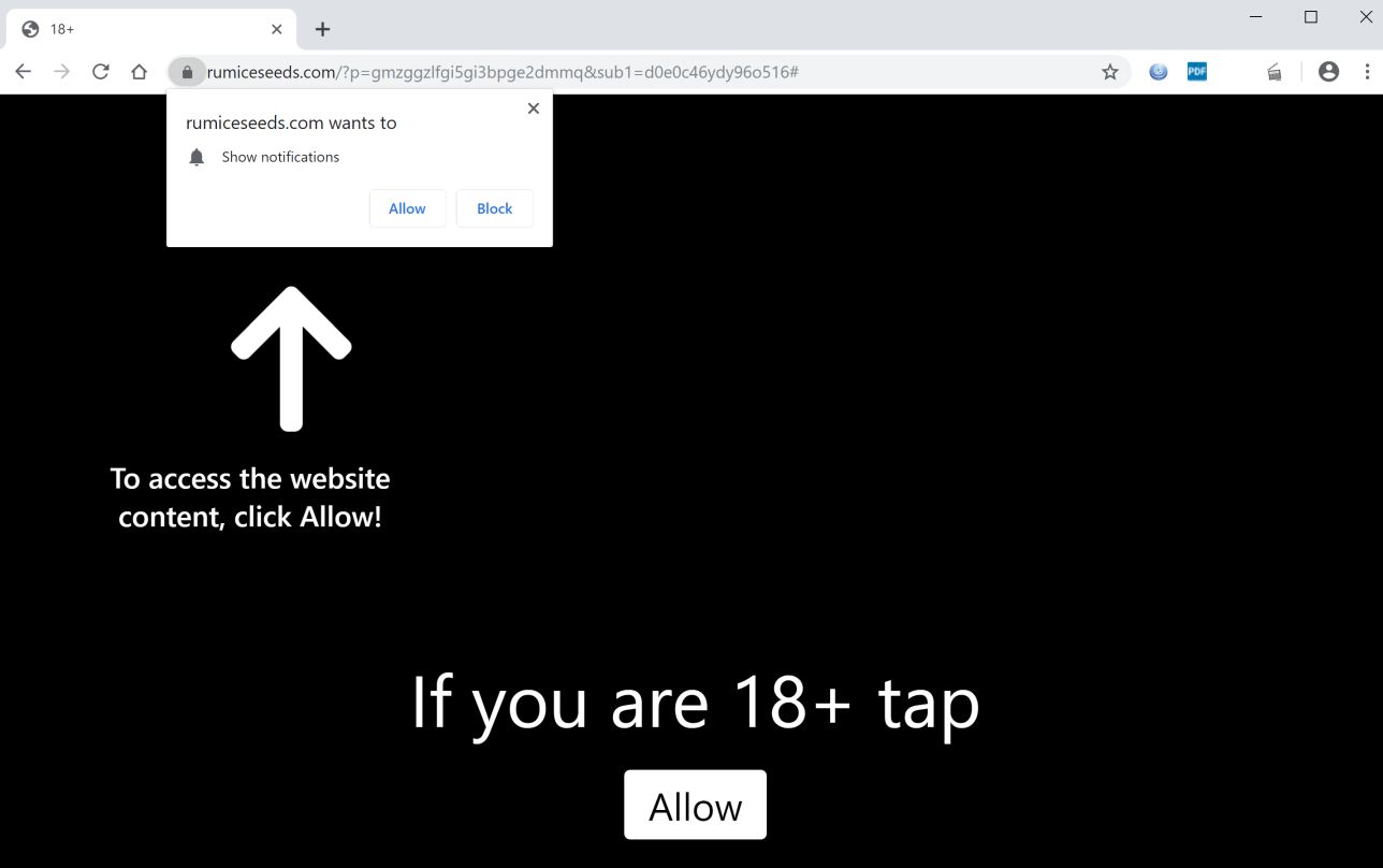 Image: Chrome browser is redirected to Rumiceseeds.com