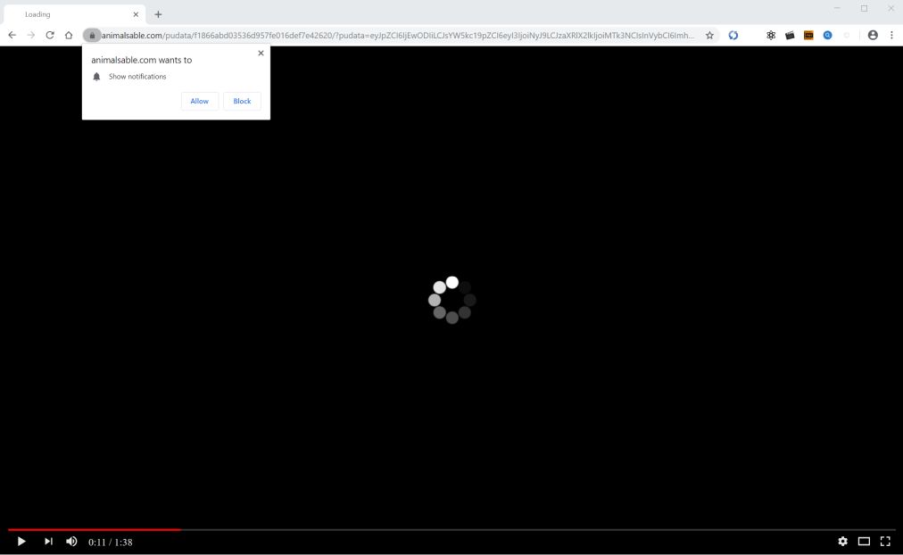 Image: Chrome browser is redirected to Animalsable.com
