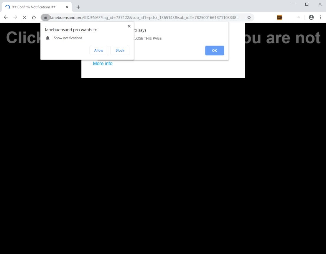 Image: Chrome browser is redirected to Lanebuensand.pro